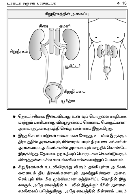 Tamil Language Human Body Parts Tamil - Tamil is the official language