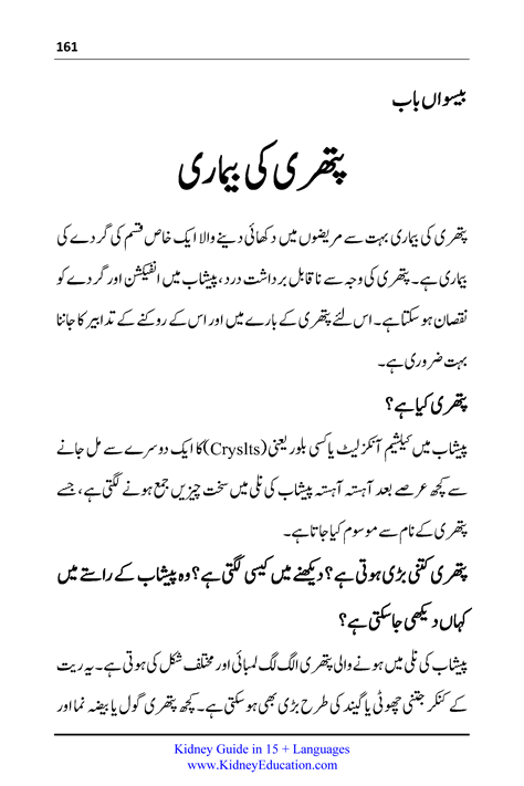 پتھری کی بیماری کڈنی سٹون ڈیزیز Kidney Stone Disease In Urdu